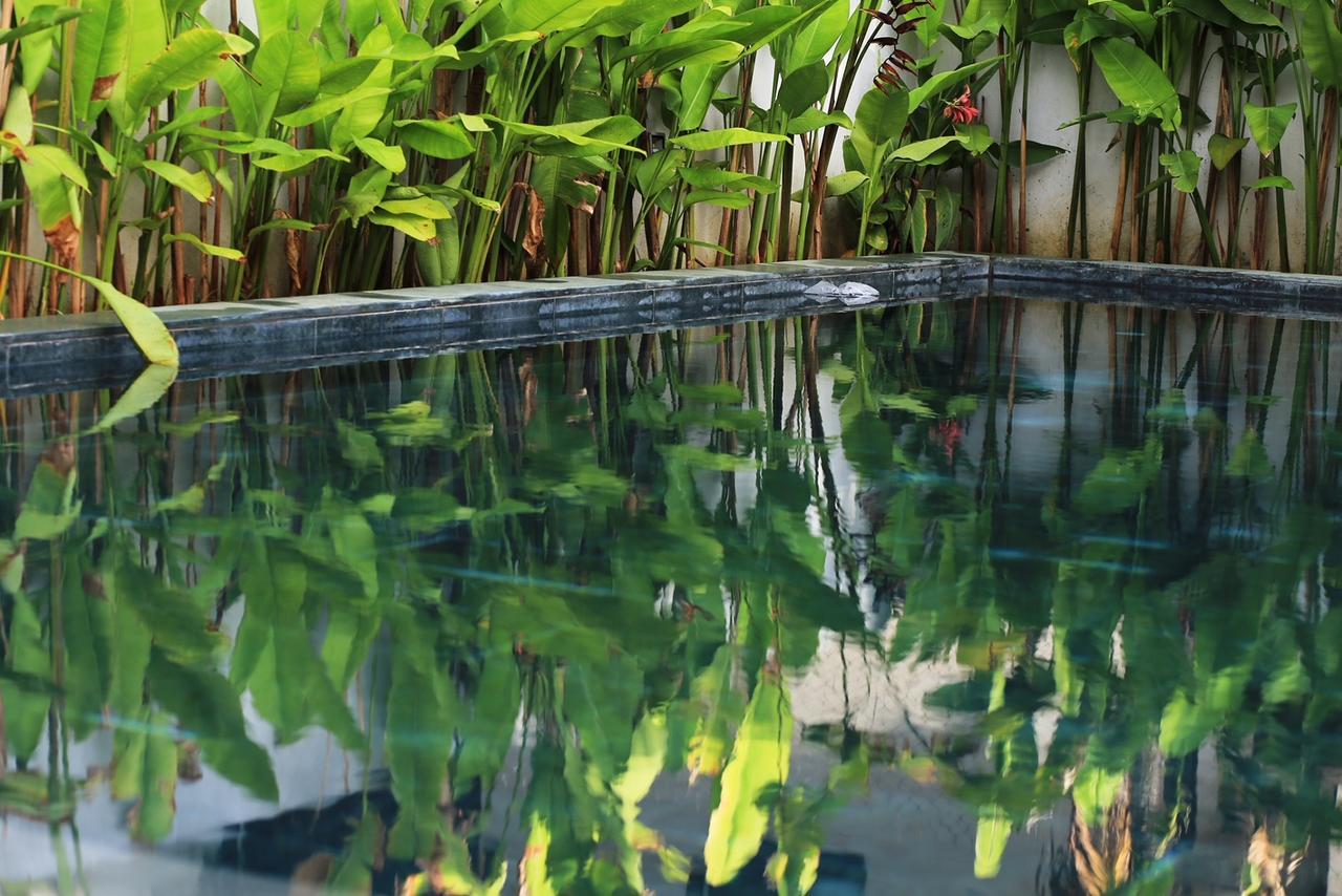 The Bau Bi Retreat Apartment Hoi An Exterior photo